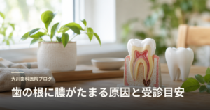 Cutaway dental model on a wooden table with a potted plant in a bright room, used as a dental blog header about root problems and checkups.