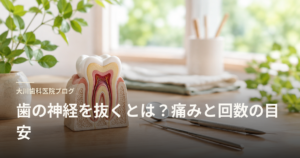 大川歯科医院ブログ ヘッダー: 歯の神経を抜くとは？痛みと回数の目安。歯科模型と工具の写真